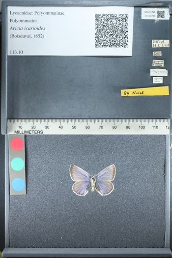 Media type: image;   Entomology 153795